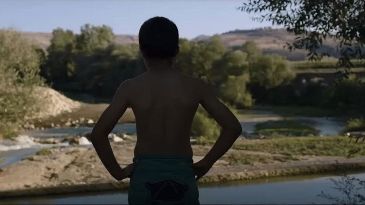 Backdrop image for movie Young Wrestlers