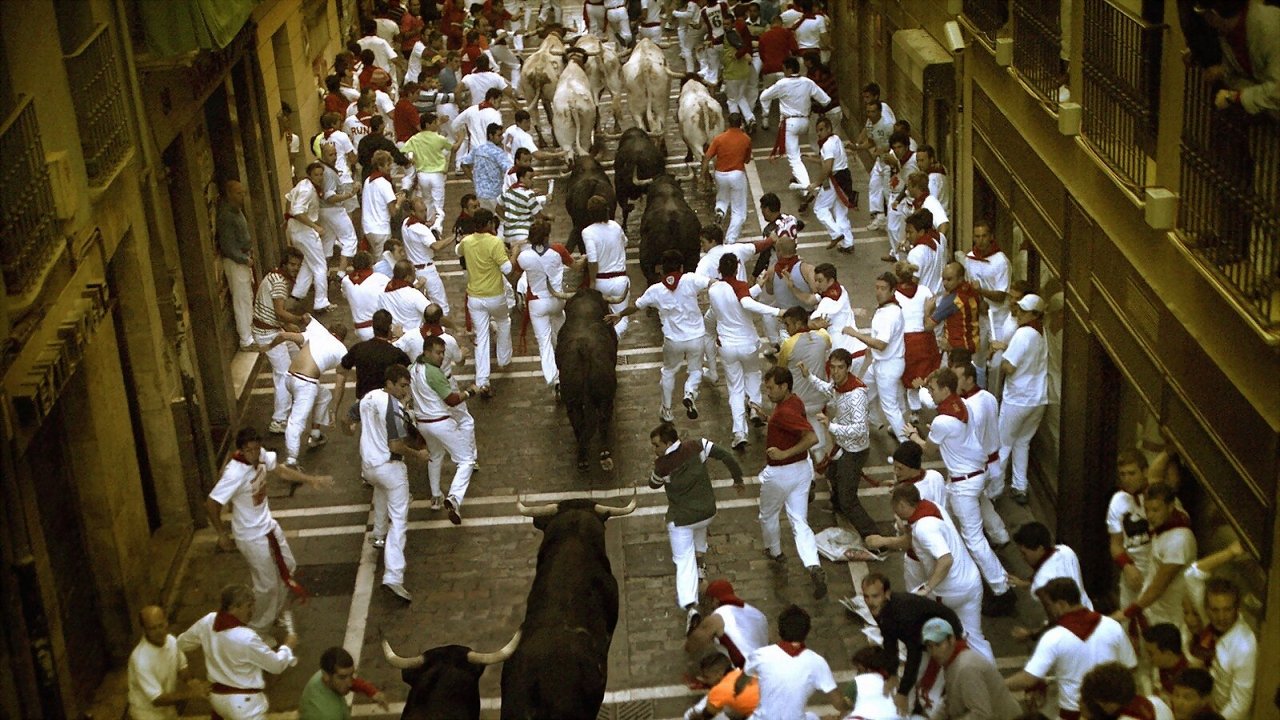 Backdrop image for movie Encierro 3D: Bull Running in Pamplona