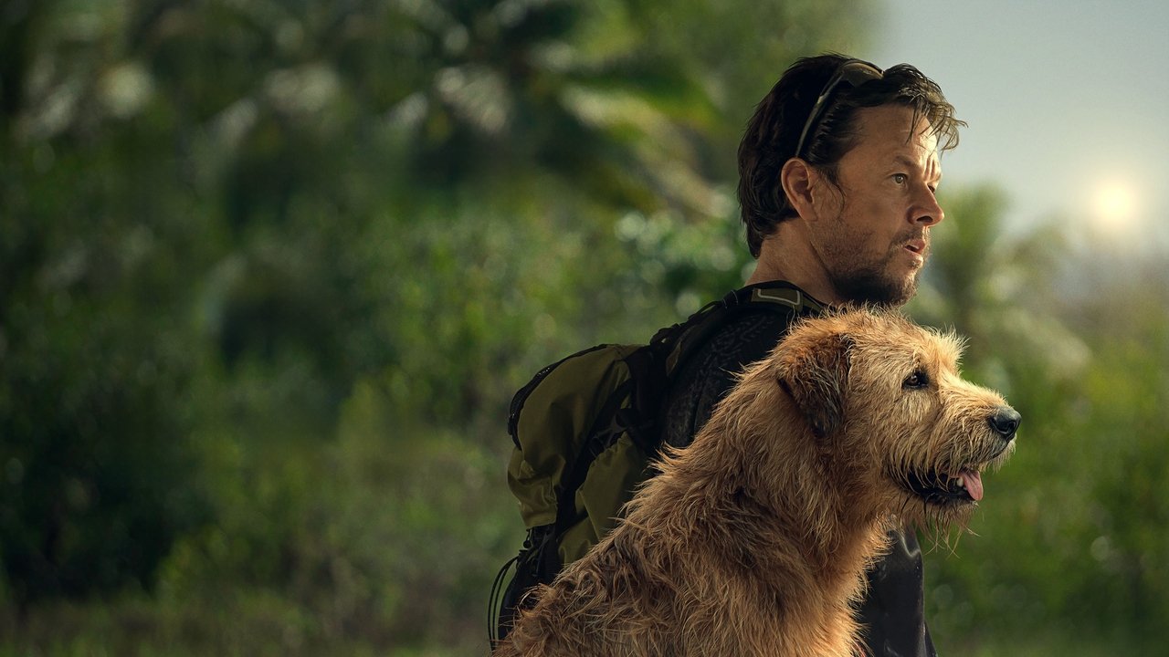 Backdrop image for movie Arthur the King