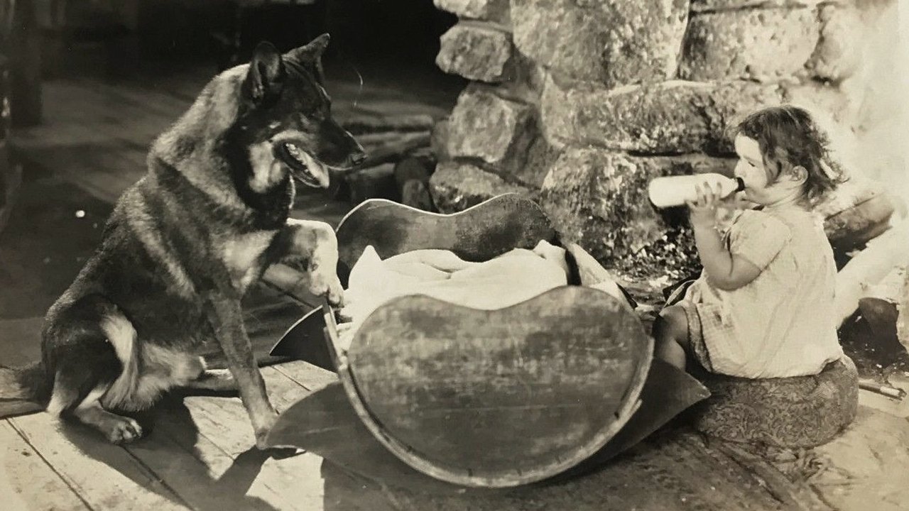 Backdrop image for movie The Night Cry