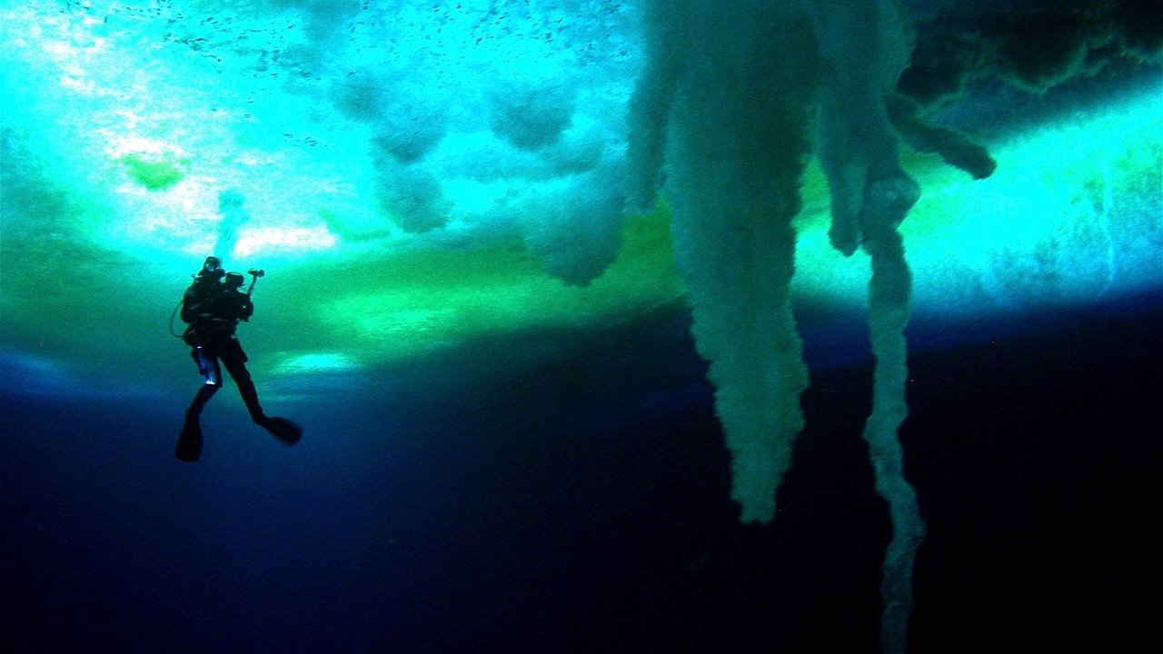 Backdrop image for movie Encounters at the End of the World