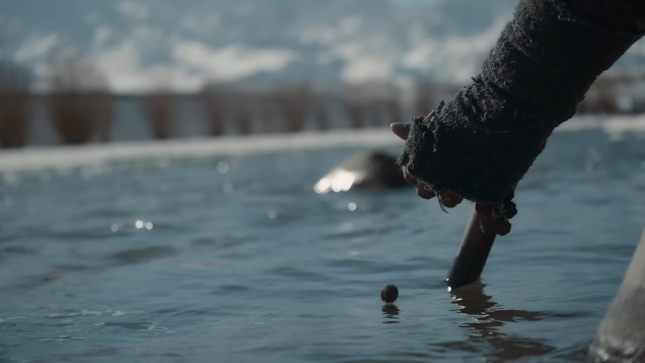 Backdrop image for movie Gaami