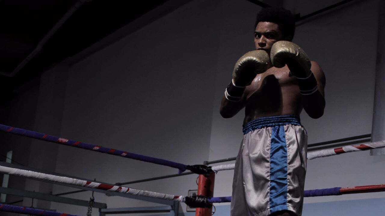 Backdrop image for movie The Ballerina