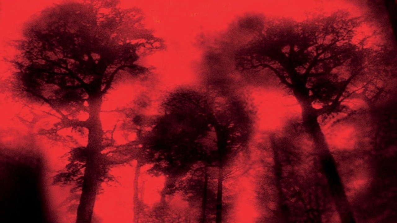 Backdrop image for movie Cabin Fever