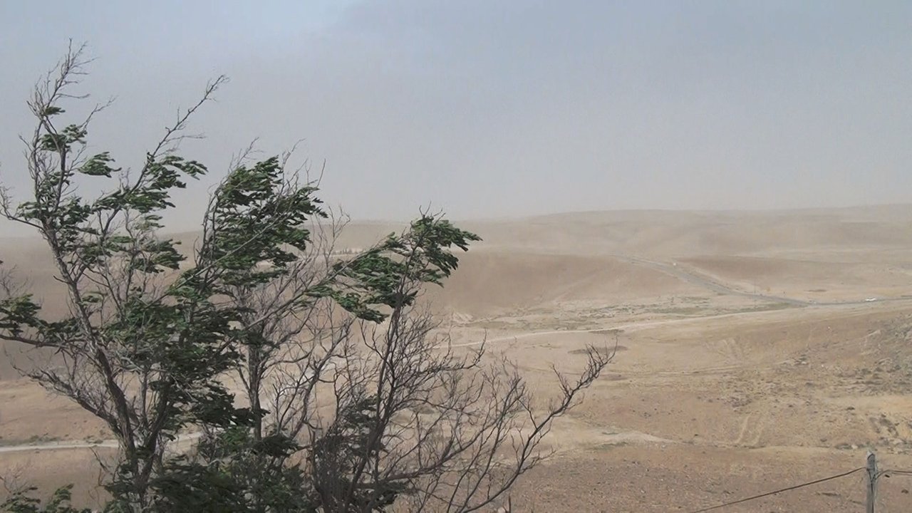 Backdrop image for movie No Home Movie
