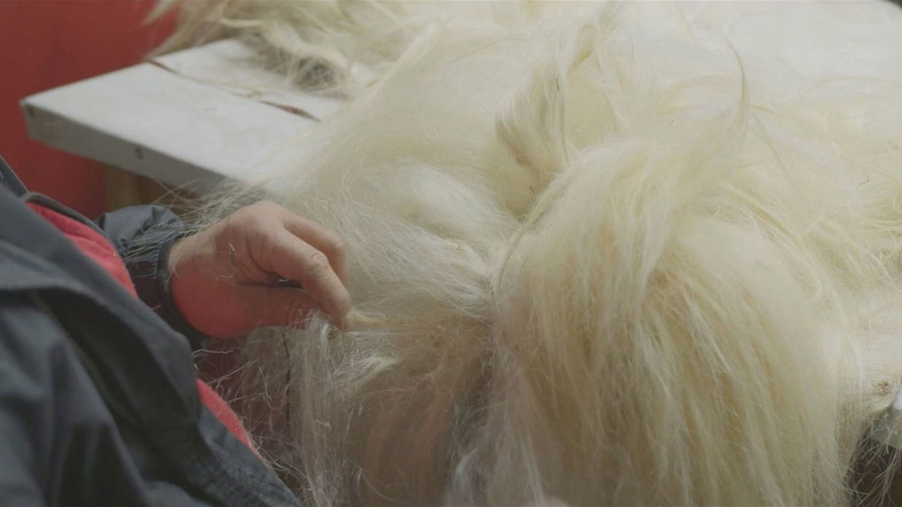 Backdrop image for movie Under the Skins