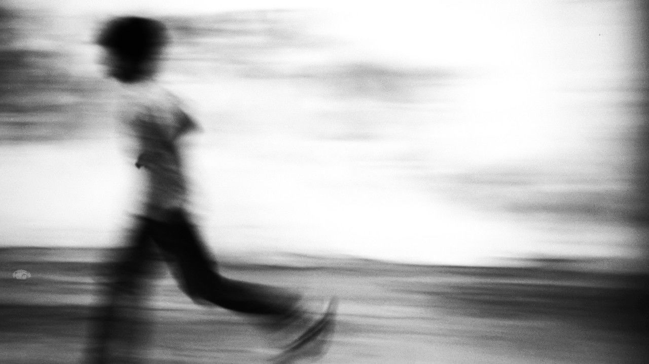 Backdrop image for movie Seagull dog child