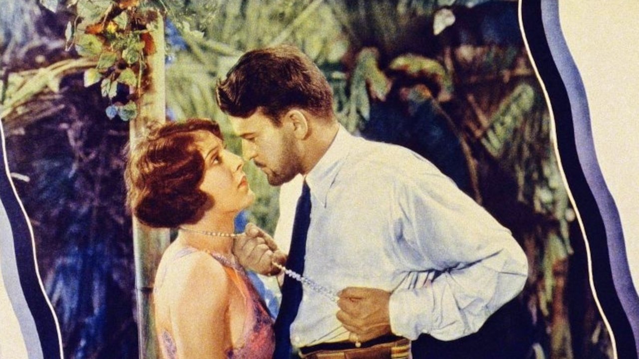 Backdrop image for movie Tropical Nights