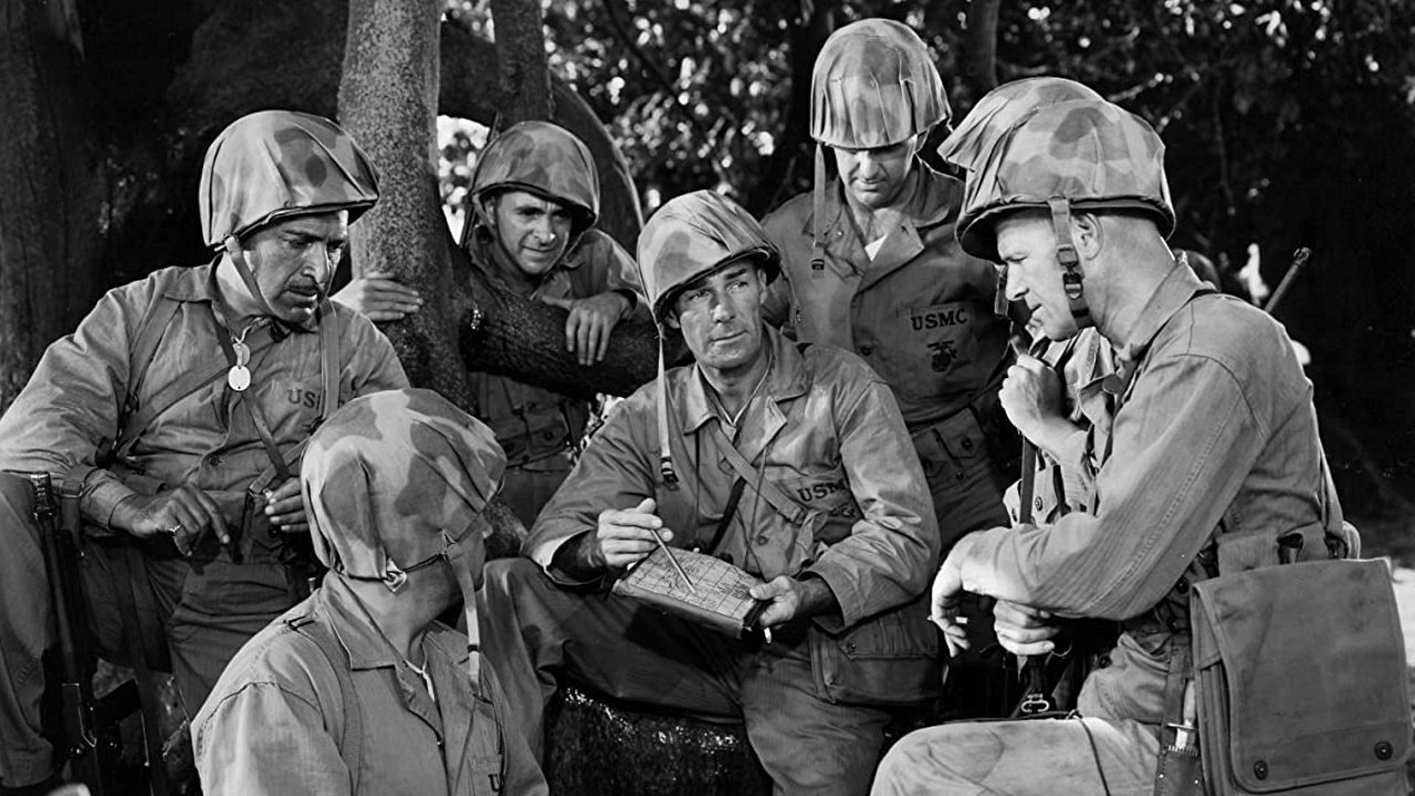 Backdrop image for movie Gung Ho!