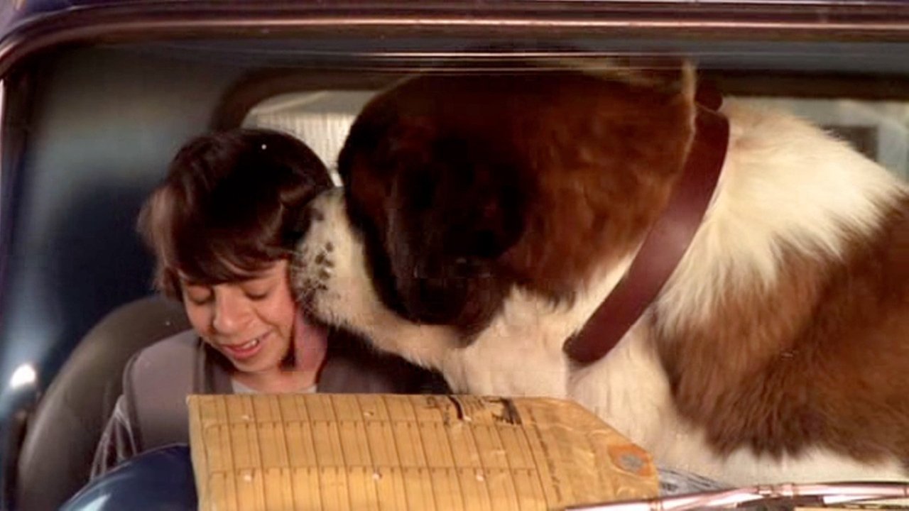 Backdrop image for movie Beethoven's Big Break