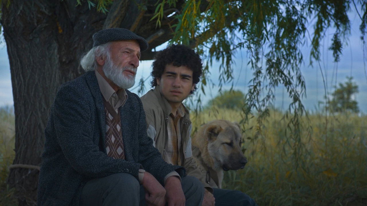 Backdrop image for movie Island Ararat