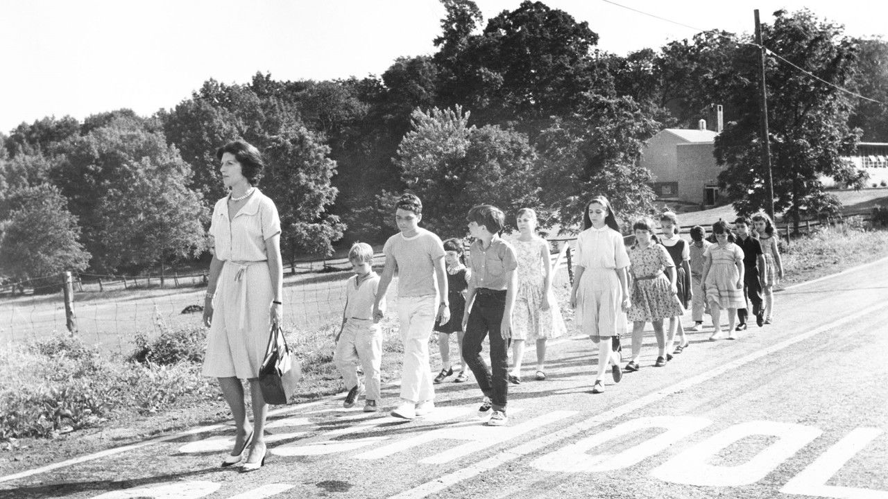 Backdrop image for movie Ladybug Ladybug