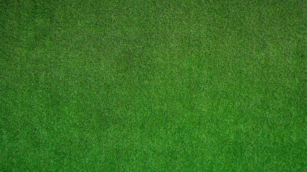 Backdrop image for movie The Mulligan's Island Invitational