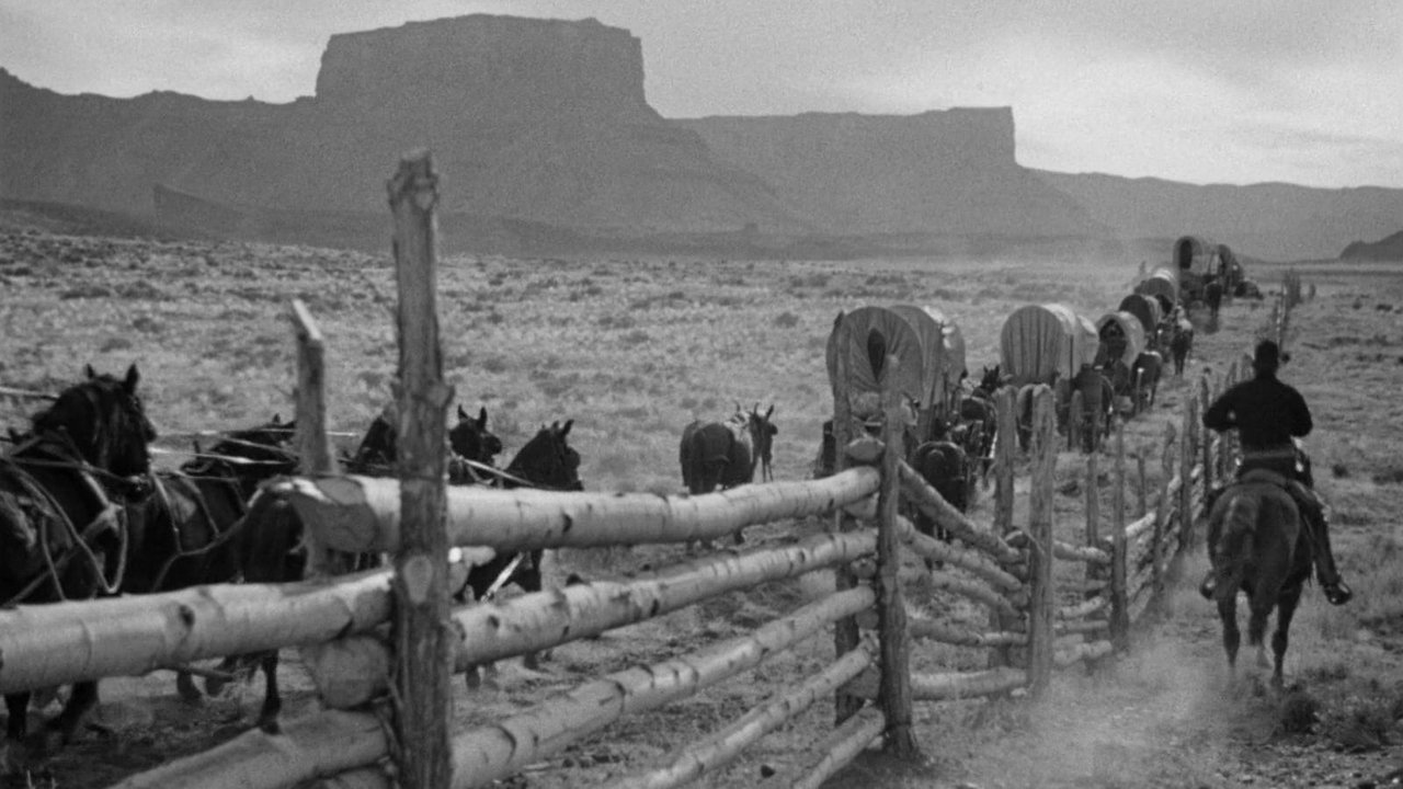 Backdrop image for movie Wagon Master