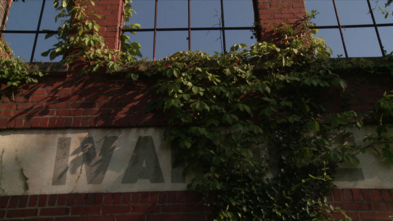 Backdrop image for movie The Curse and the Jubilee