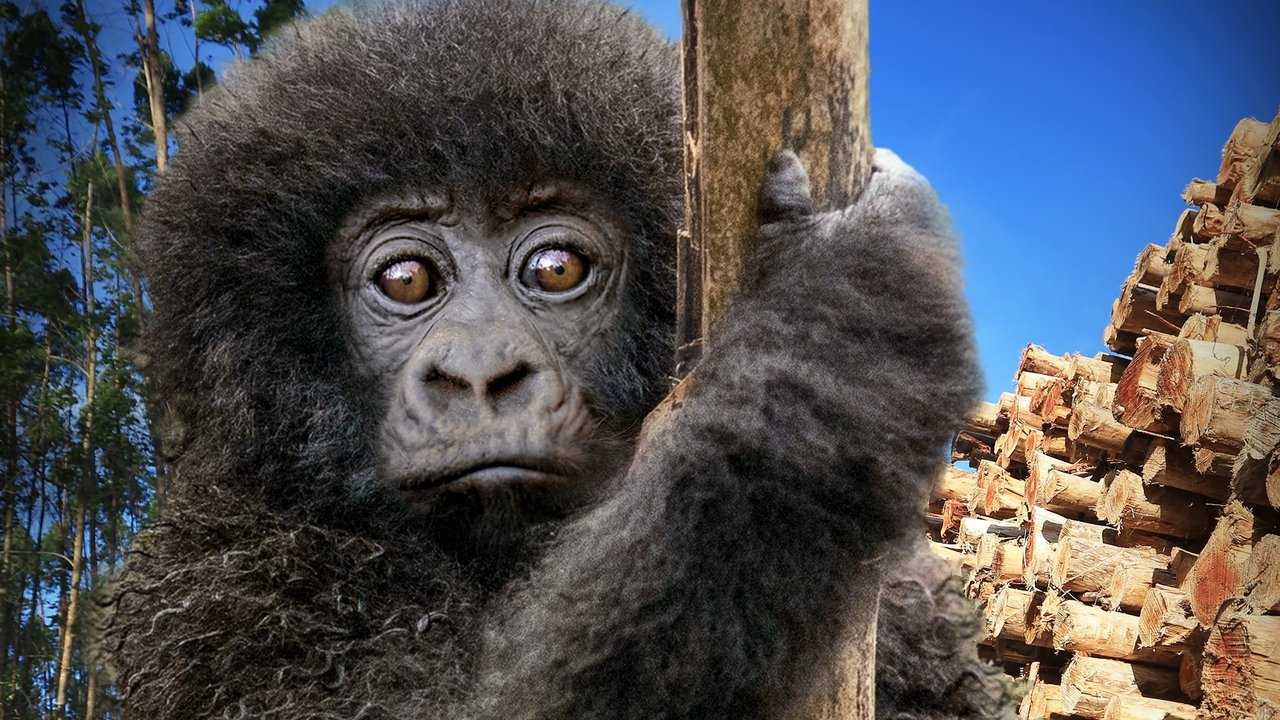 Backdrop image for movie Escape from Extinction: Rewilding
