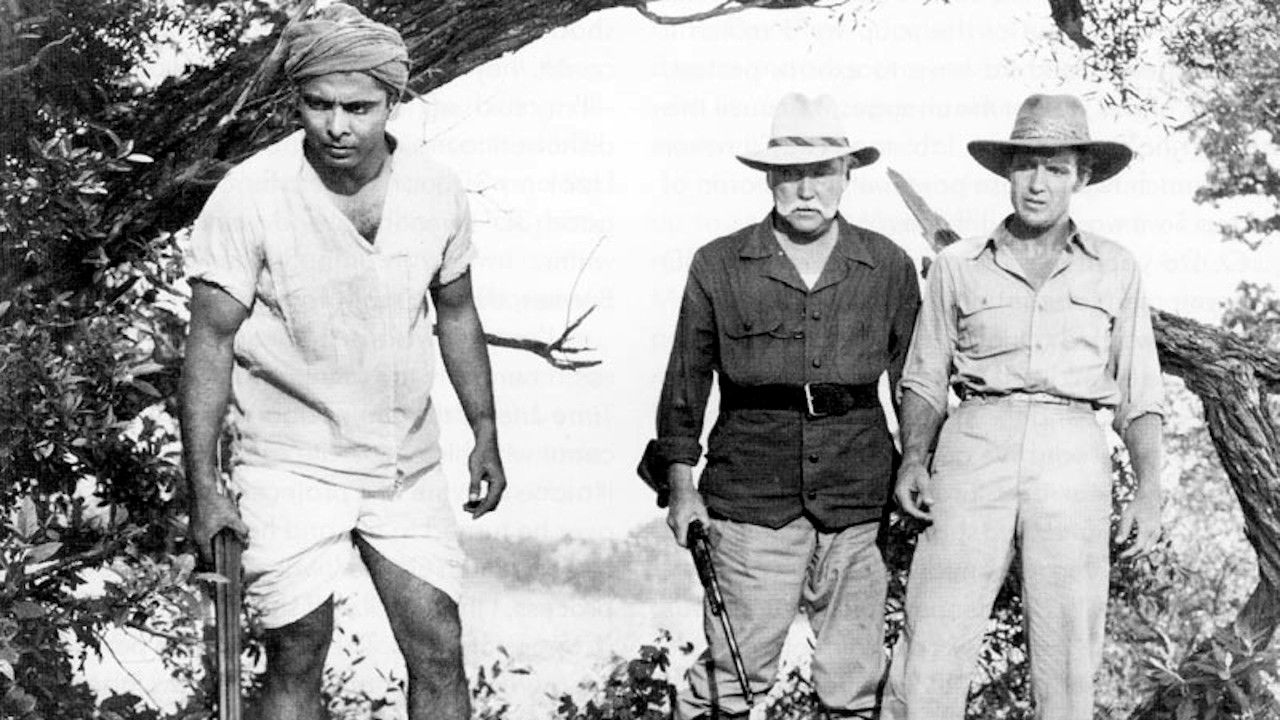 Backdrop image for movie Bwana Devil