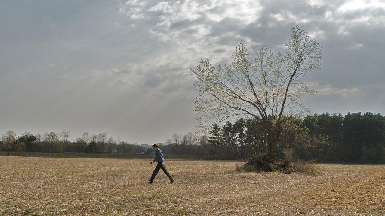 Backdrop image for movie Son of the Sunshine