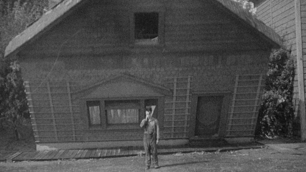 Backdrop image for movie Steamboat Bill, Jr.