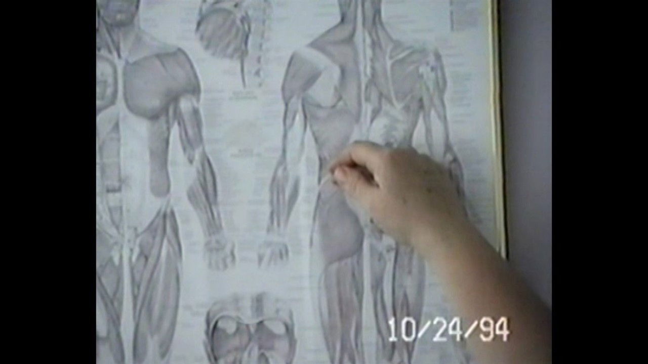 Backdrop image for movie Cabbage