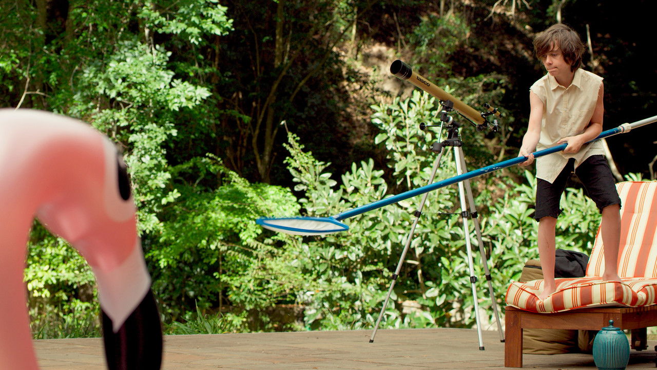 Backdrop image for movie Oliverio and the Pool