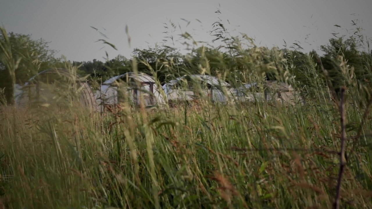 Backdrop image for movie Heartland Local Food