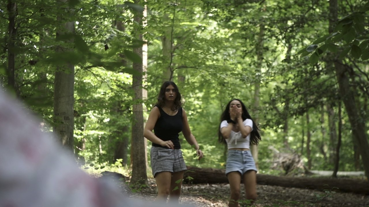 Backdrop image for movie InDIEpendence Day
