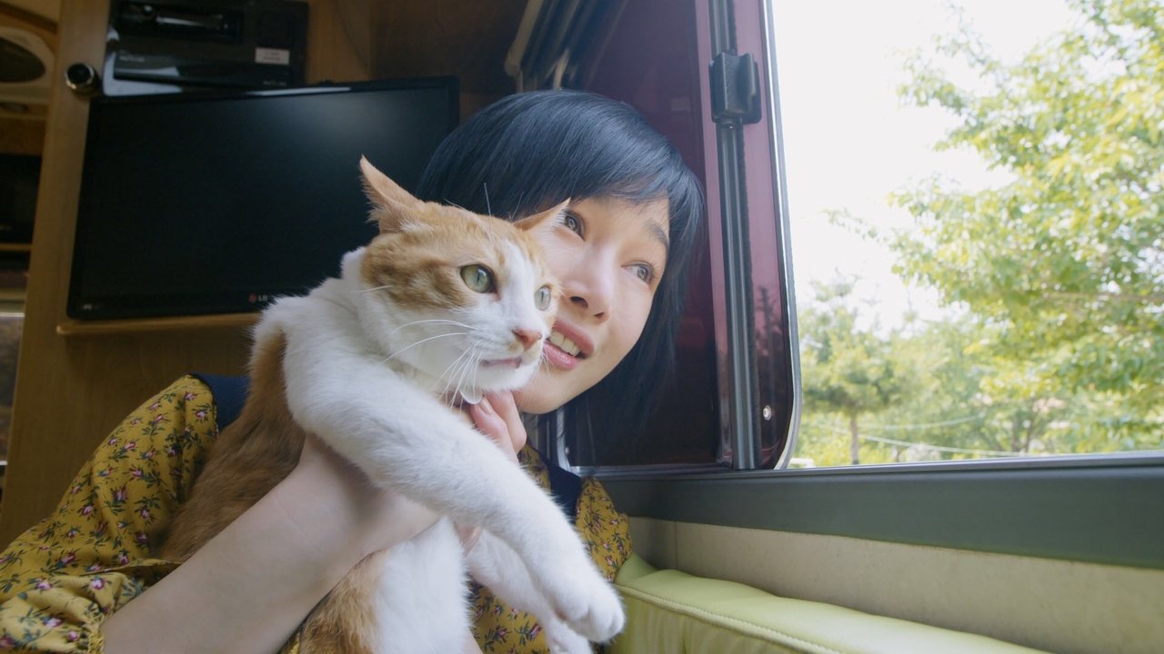 Backdrop image for movie The Journey of the 12 Cats
