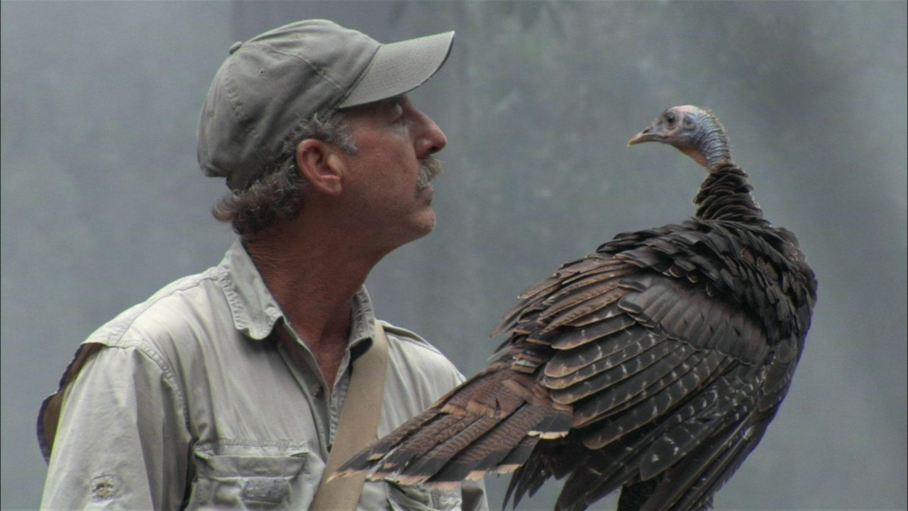 Backdrop image for movie My Life as a Turkey