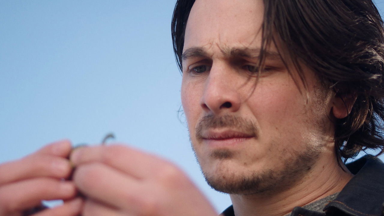 Backdrop image for movie Chicken Coop