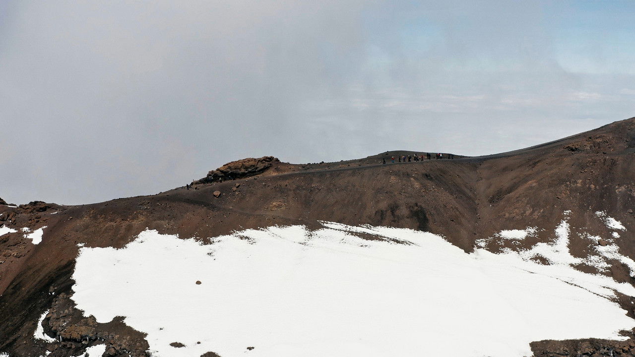 Backdrop image for movie Courage Rising