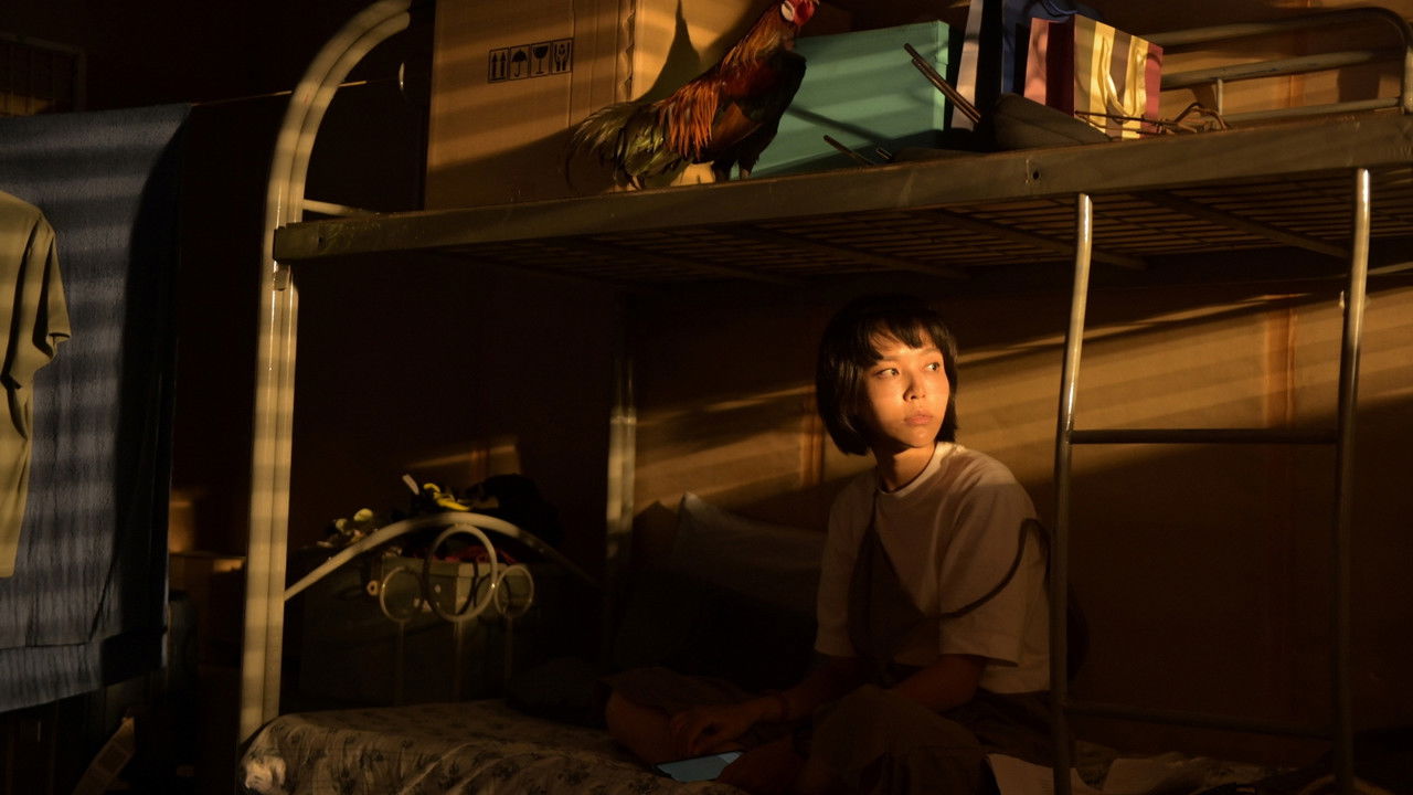 Backdrop image for movie Look At Me Touch Me Kiss Me