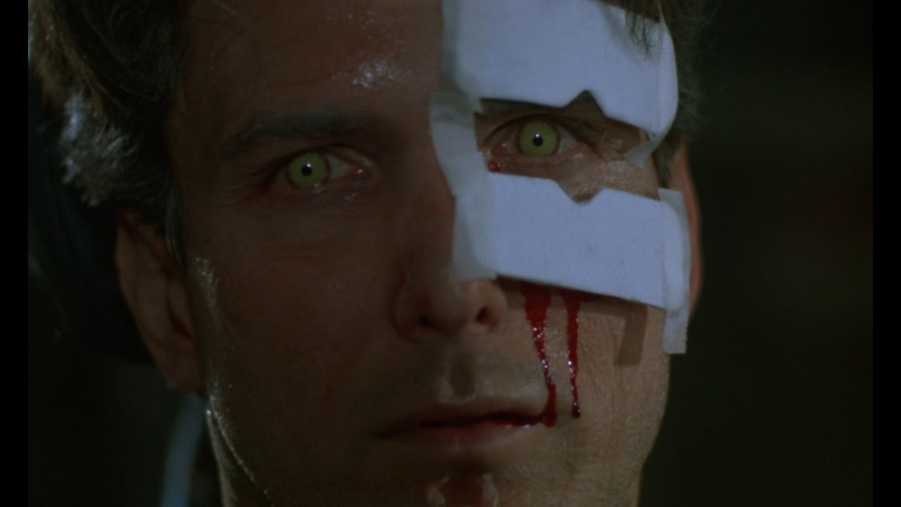 Backdrop image for movie Metamorphosis