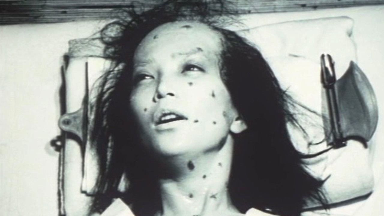 Backdrop image for movie Sakura-tai Chiru