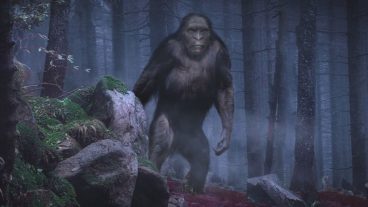 Backdrop image for movie On the Trail of Bigfoot: The Discovery
