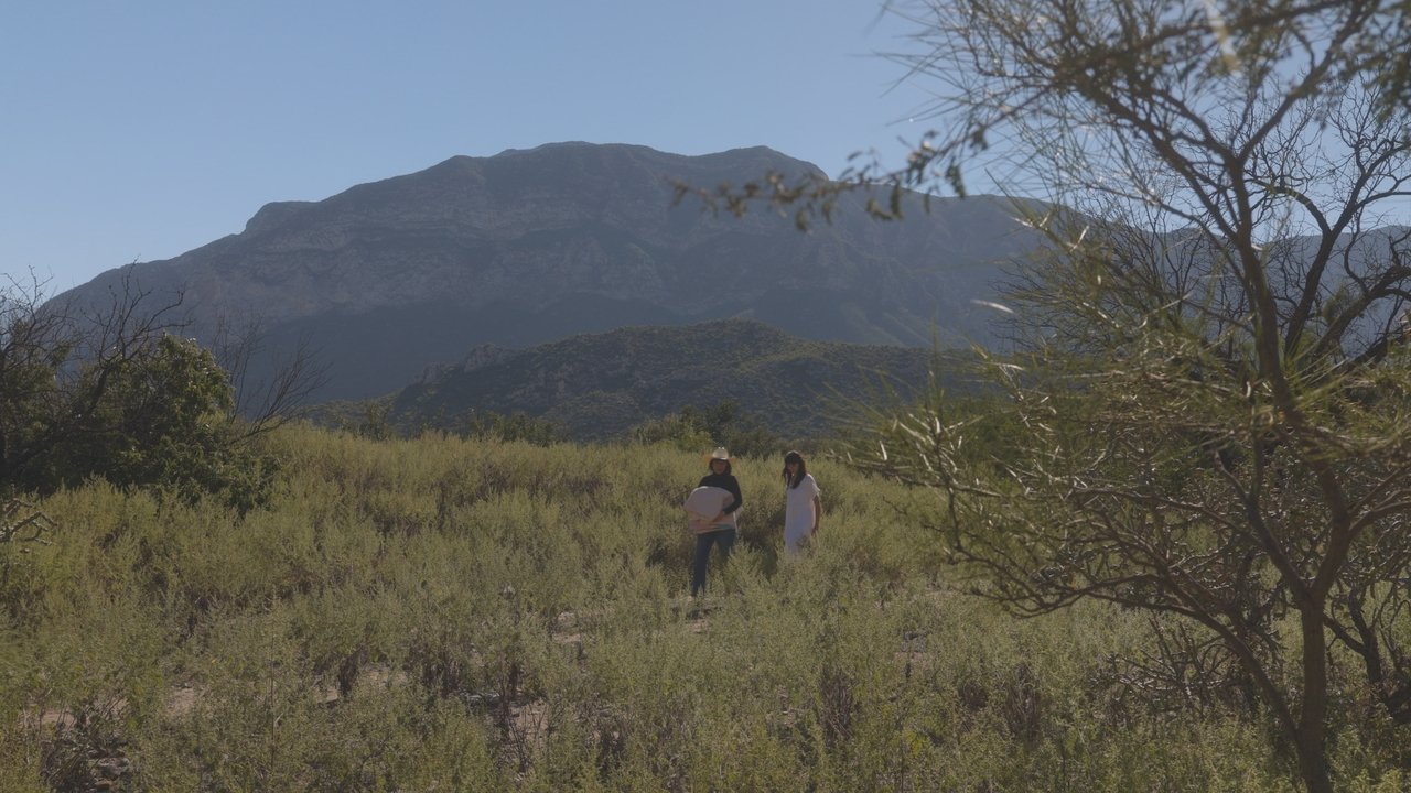 Backdrop image for movie No soy nadie