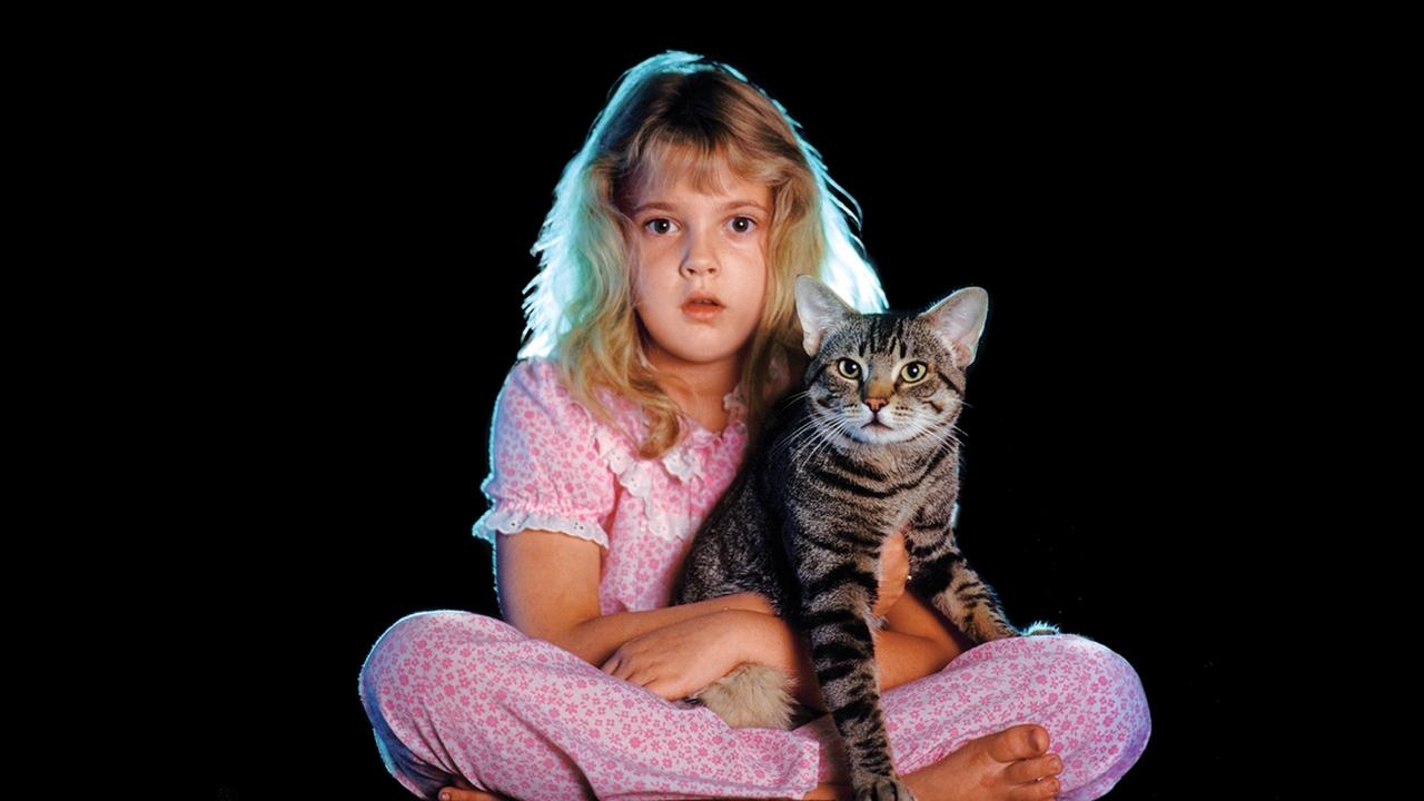 Backdrop image for movie Cat's Eye