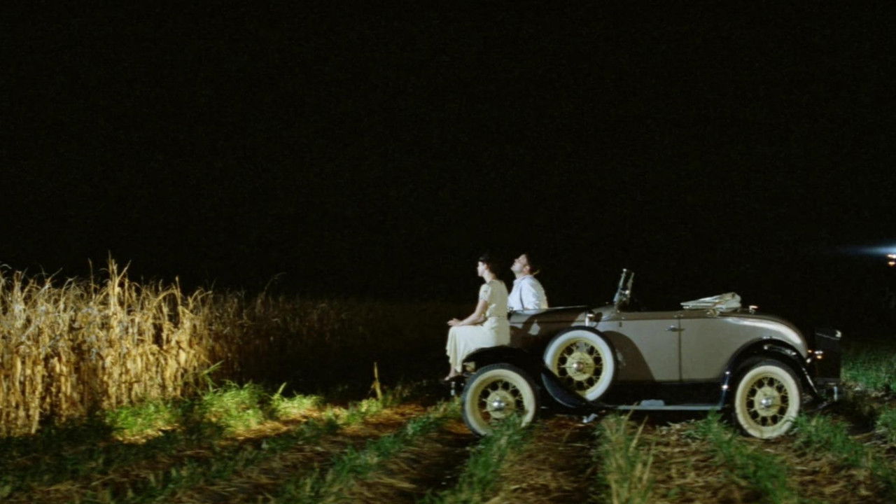 Backdrop image for movie The Whole Wide World