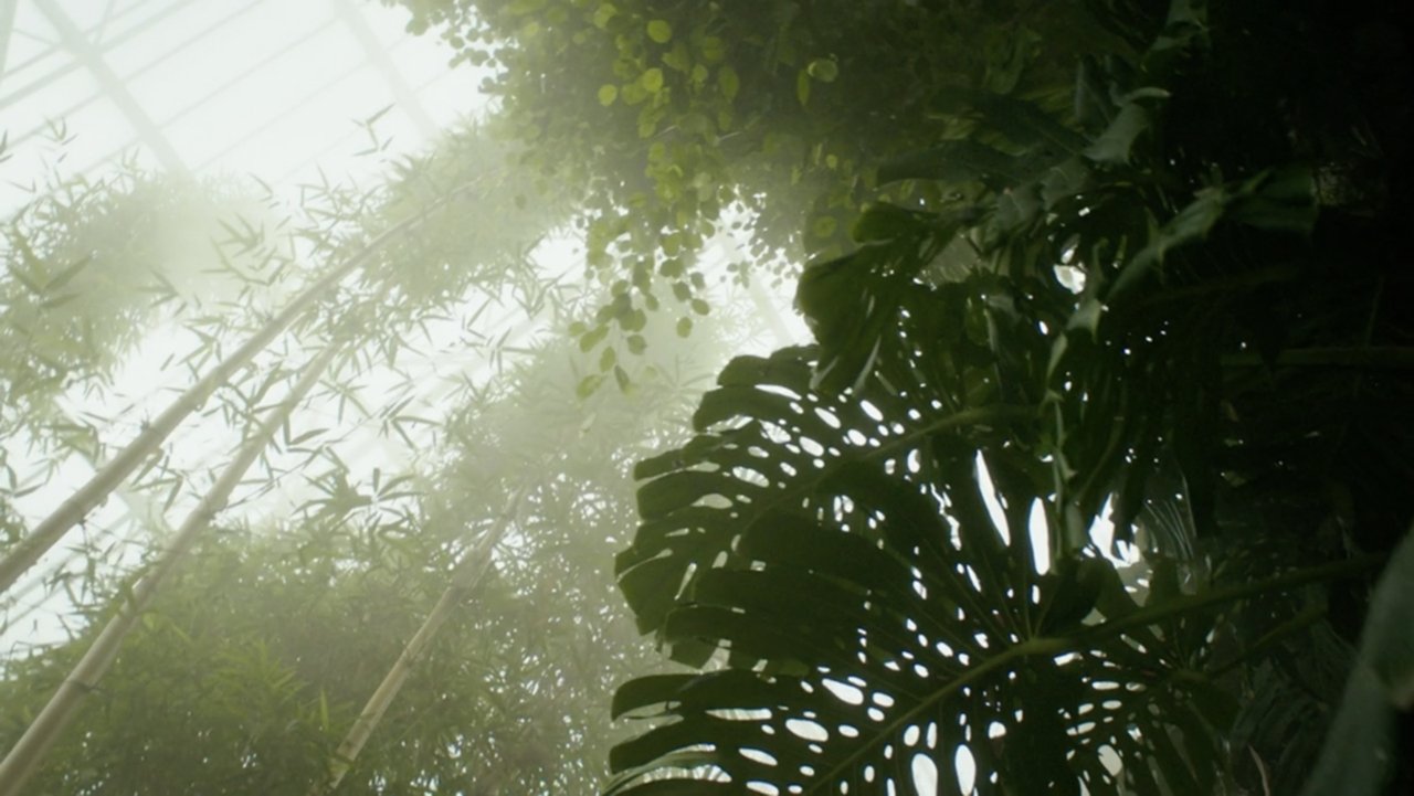 Backdrop image for movie Paradise Lost?