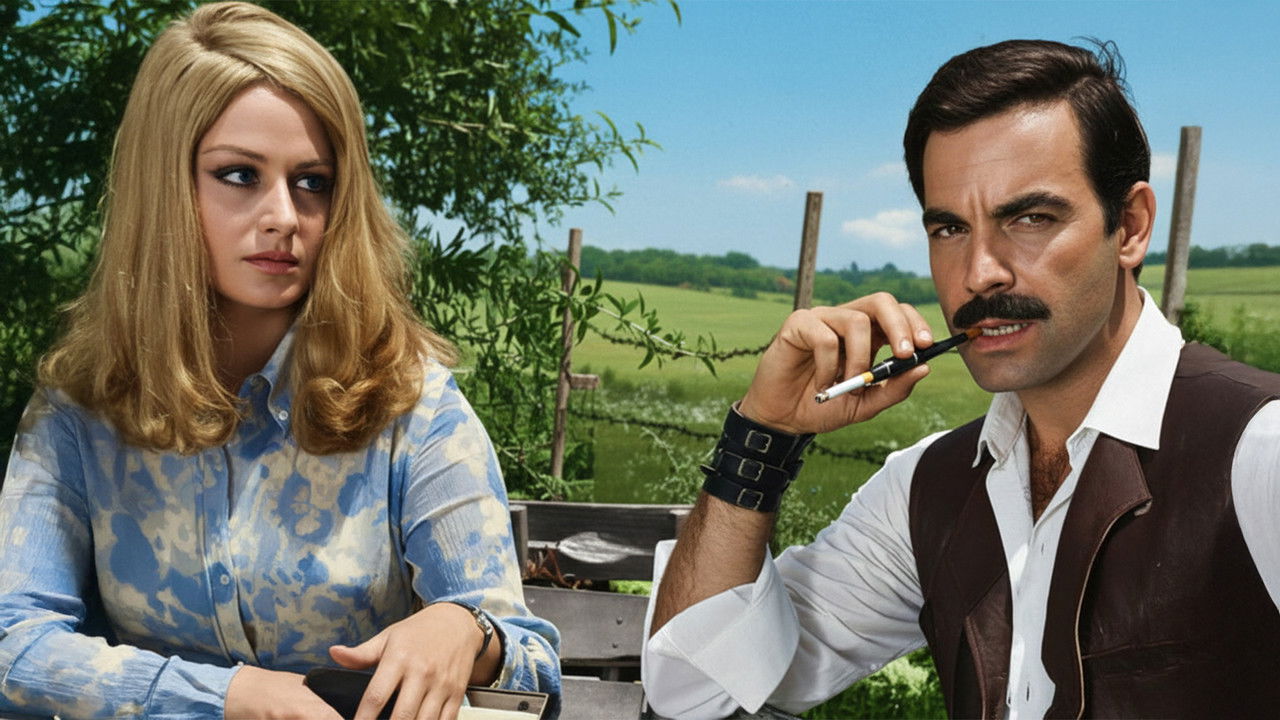 Backdrop image for movie Gecelerin Kralı