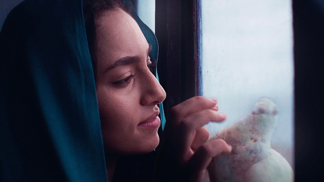 Backdrop image for movie Apatride