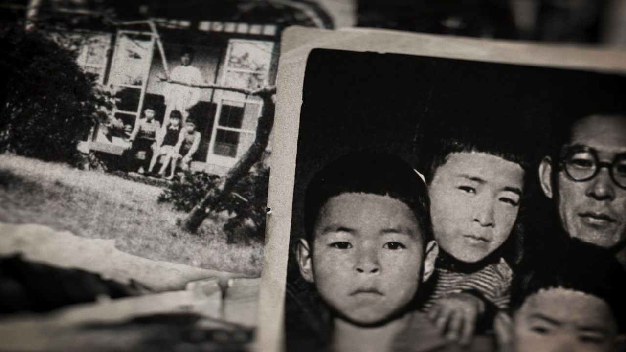 Backdrop image for movie Miyazaki, Spirit of Nature