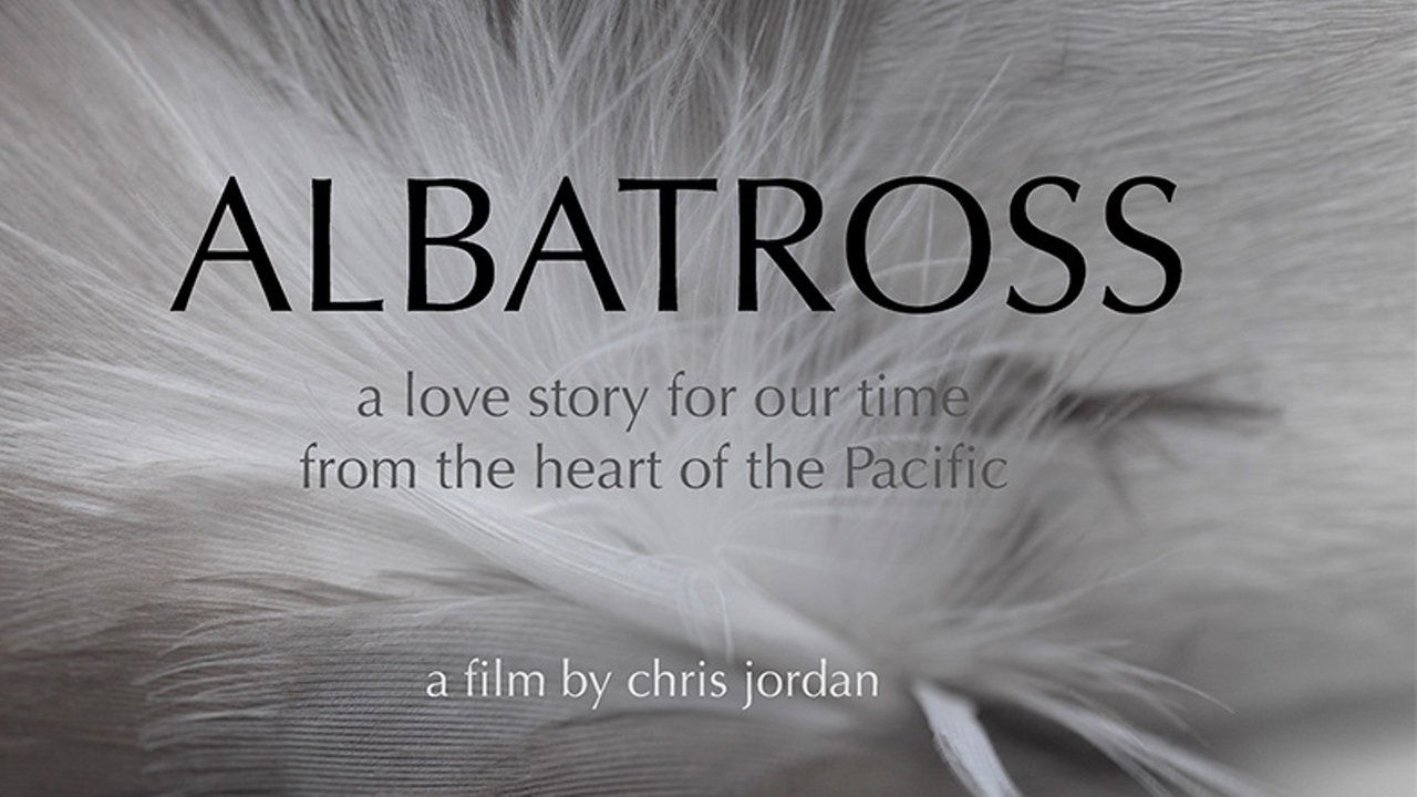 Backdrop image for movie Albatross
