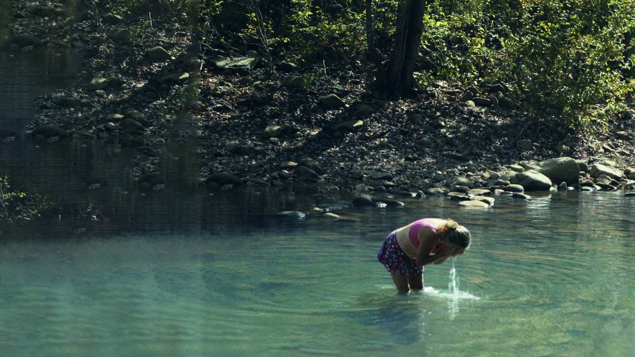 Backdrop image for movie Nomad Solitude