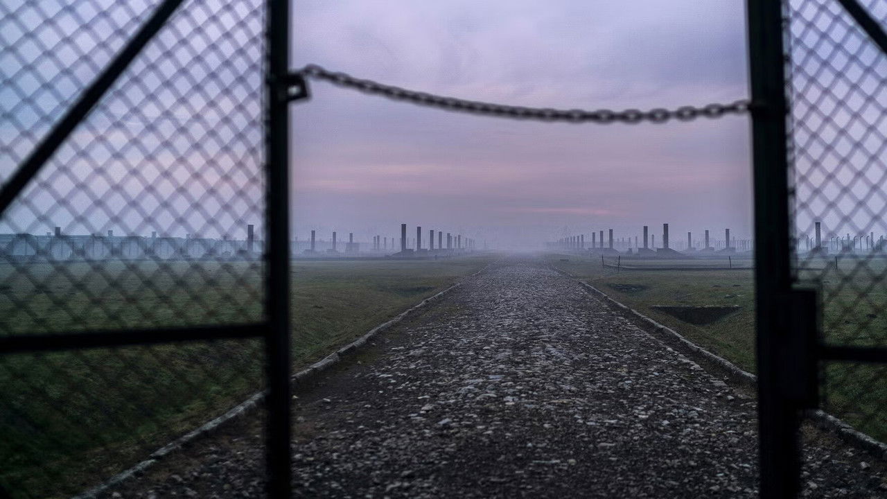 Backdrop image for movie Auschwitz: Countdown To Liberation
