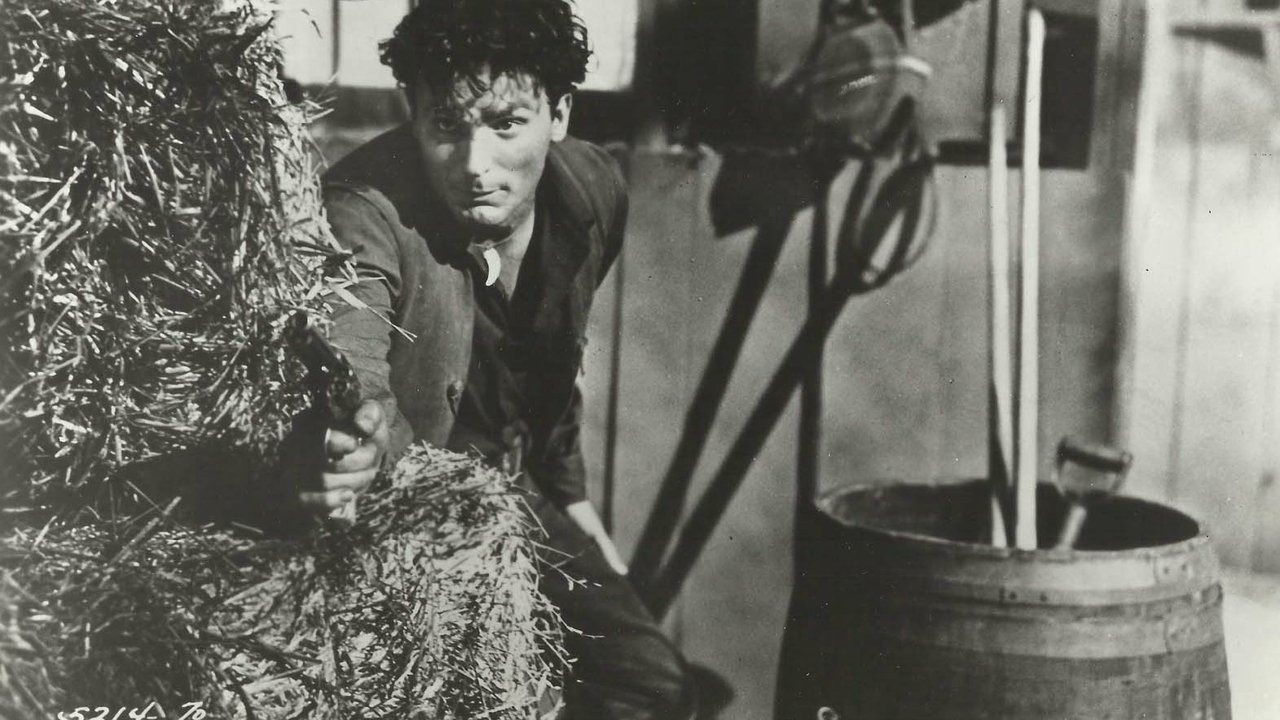 Backdrop image for movie Son of Belle Starr
