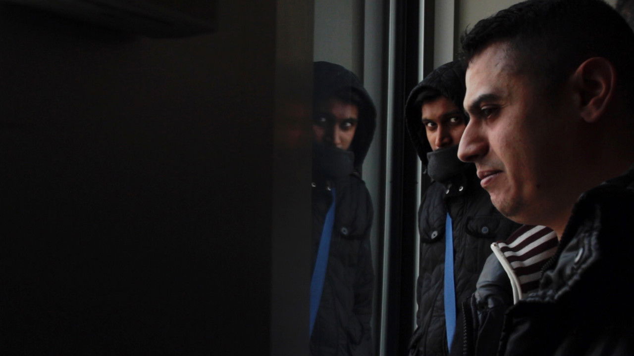 Backdrop image for movie We Are Not Our Parents