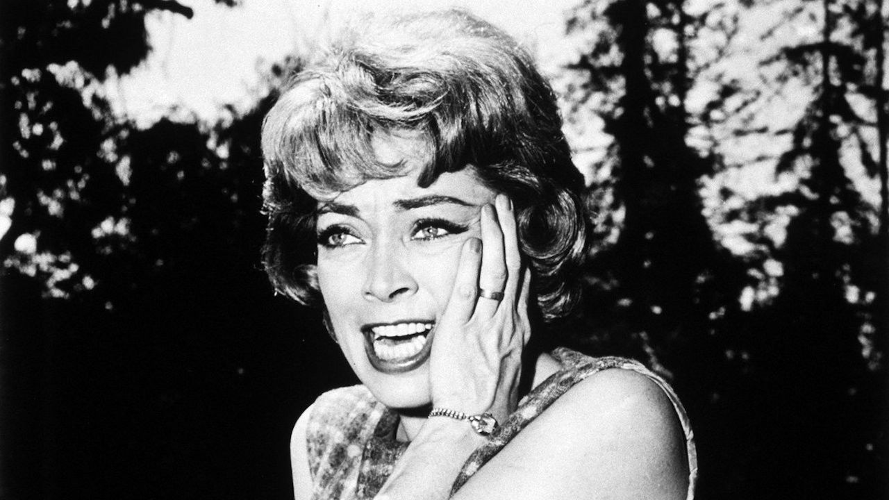 Backdrop image for movie Two Dollar Bettor