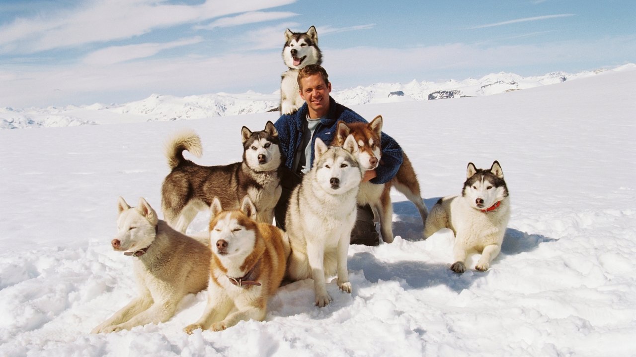 Backdrop image for movie Eight Below