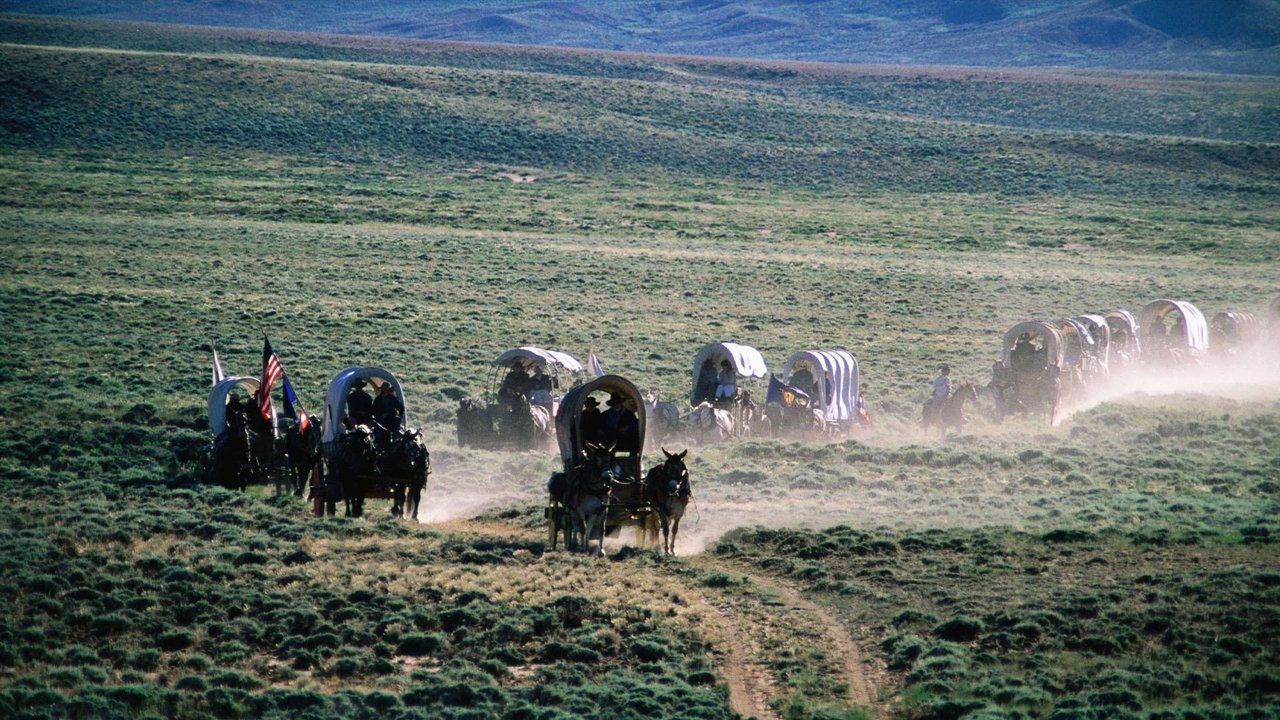 Backdrop image for movie Les Mormons : Qui sont-ils vraiment ?